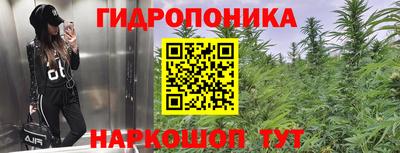 ГАЛЛЮЦИНОГЕННЫЕ ГРИБЫ Заводоуковск