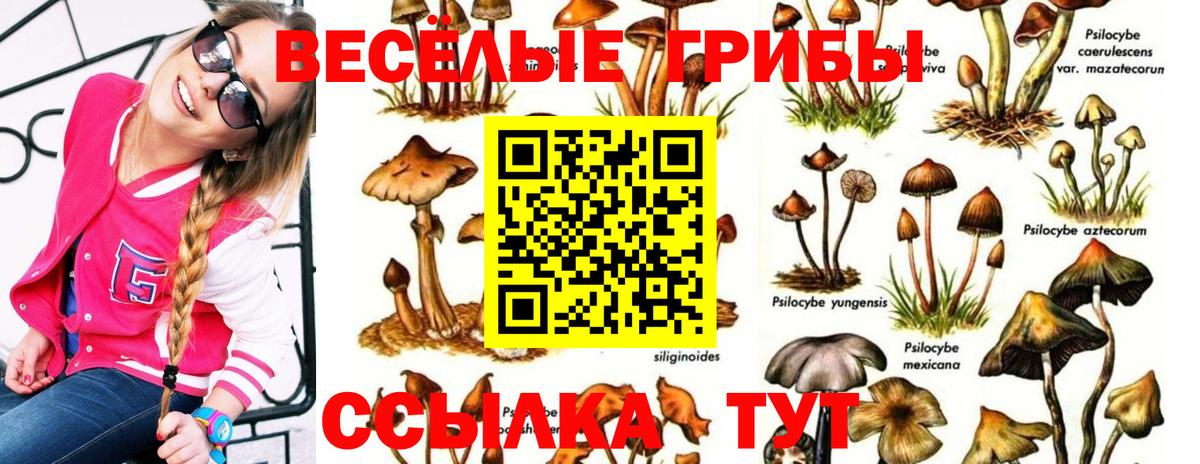 Псилоцибиновые грибы мухоморы Менделеевск