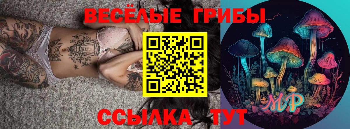 Менделеевск  Галлюциногенные грибы MAGIC MUSHROOMS  купить  сайты  Вход с VPN  Псилоцибиновые грибы ЛСД 